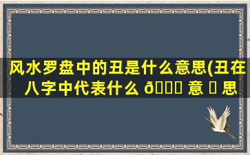 风水罗盘中的丑是什么意思(丑在八字中代表什么 🐅 意 ☘ 思)